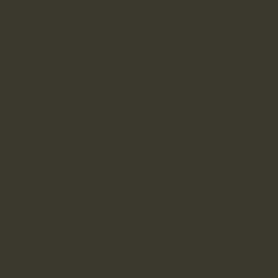 Гипсокартон (с различными видами отделки и покрытия) RAL 6022 Коричнево-оливковый